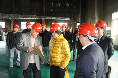 2012年1月31日，時(shí)任嘉興市委書記魯俊率領(lǐng)市發(fā)改委等市級(jí)部門負(fù)責(zé)人到公司調(diào)研
